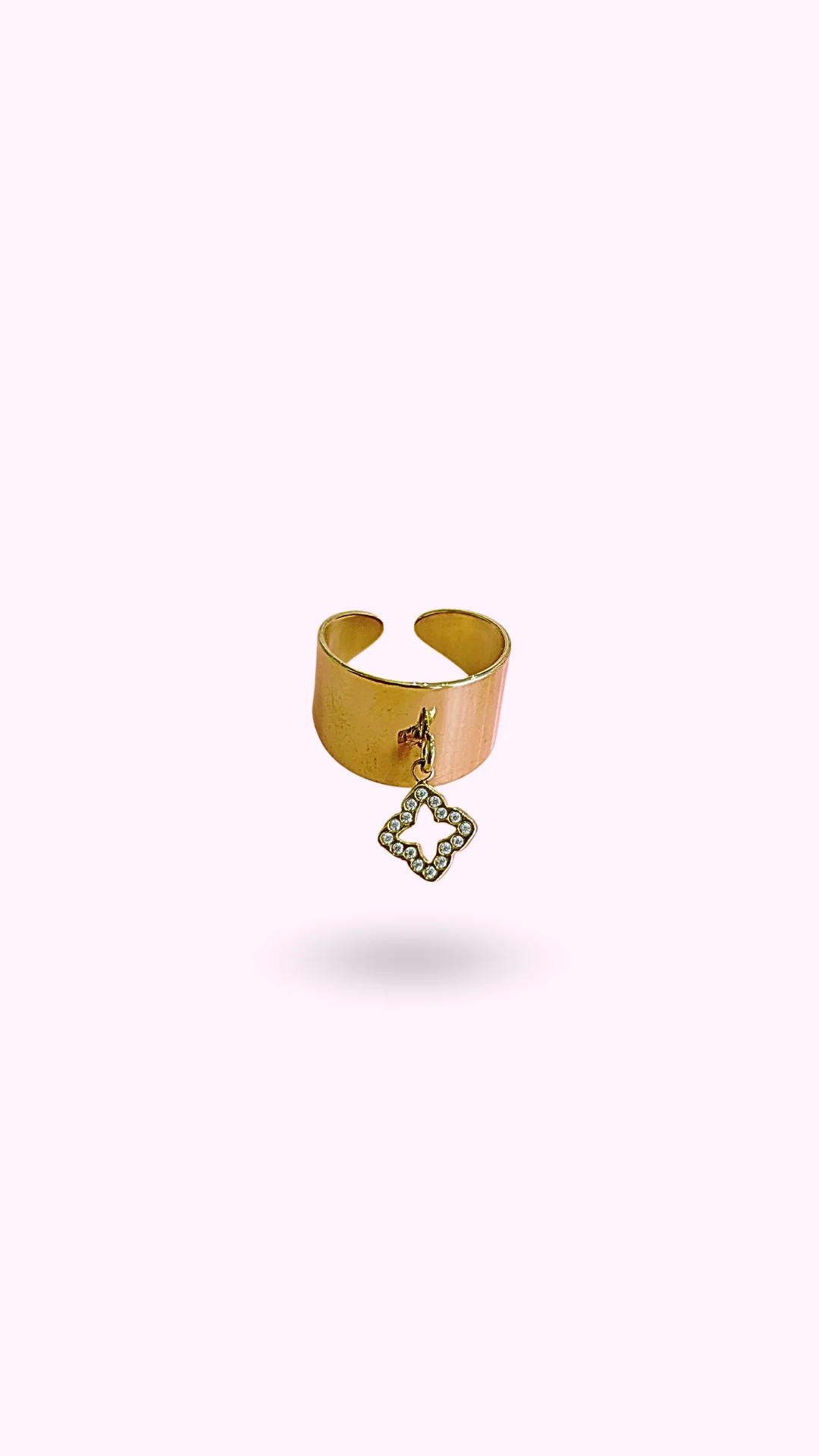 BAGUE NOCHE - Image 2